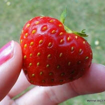 id: an image of a strawberry that is the shape of a heart